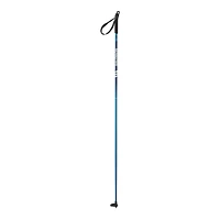 Salomon Women's Escape Vitane Ski Poles 2023