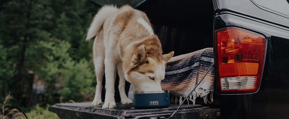 YETI Boomer™ 8 Dog Bowl