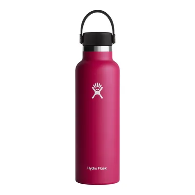 Contigo Cortland Chill 2.0 Stainless Steel Water Bottle - Pink for sale  online