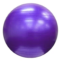 Fitter Classic Duraball 55 CM