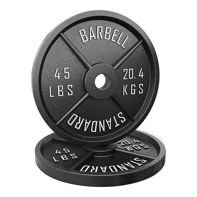 Synergee lb Olympic Cast Iron Plates, Pair, Weight