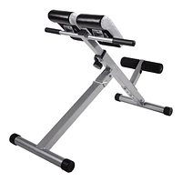 Stamina Hyperextension Bench