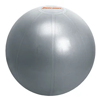 Iron Body Fitness Pro Series 55 cm Fitness Ball