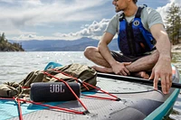 JBL Flip 6 Portable Speaker