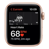 Apple Watch SE (GPS) 44mm (1st Generation)