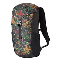 Gregory Nano 16L Backpack