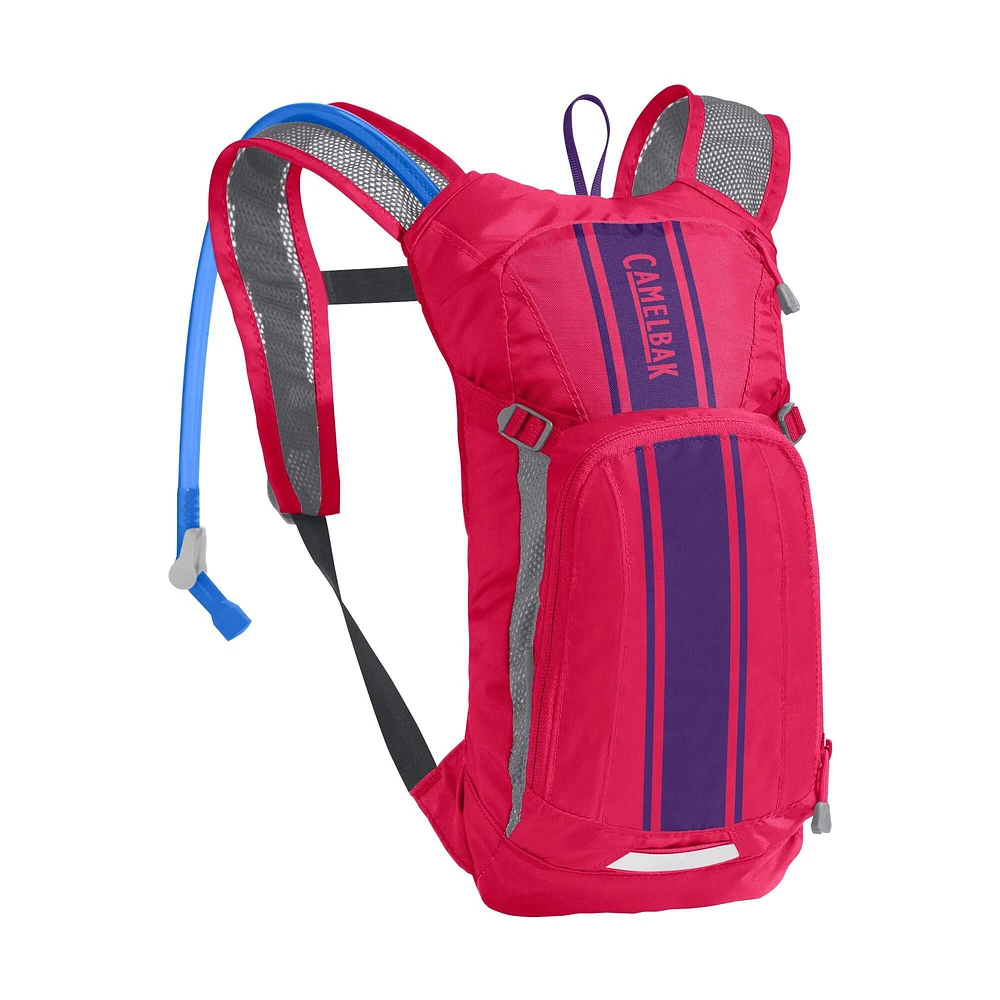 CamelBak Mini Mule Hydration Pack