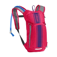 CamelBak Mini Mule Hydration Pack