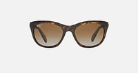 Ray Ban Men's/Women's 4216 Butterfly Sunglasses, Gradient