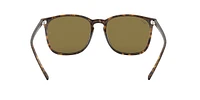 Ray Ban Men's/Women's 4387 Square Sunglasses