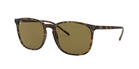 Ray Ban Men's/Women's 4387 Square Sunglasses