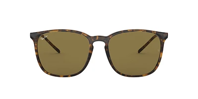 Ray Ban Men's/Women's 4387 Square Sunglasses