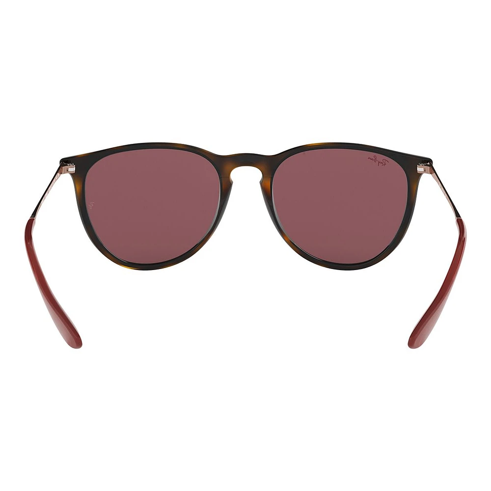 Ray Ban Erika Sunglasses