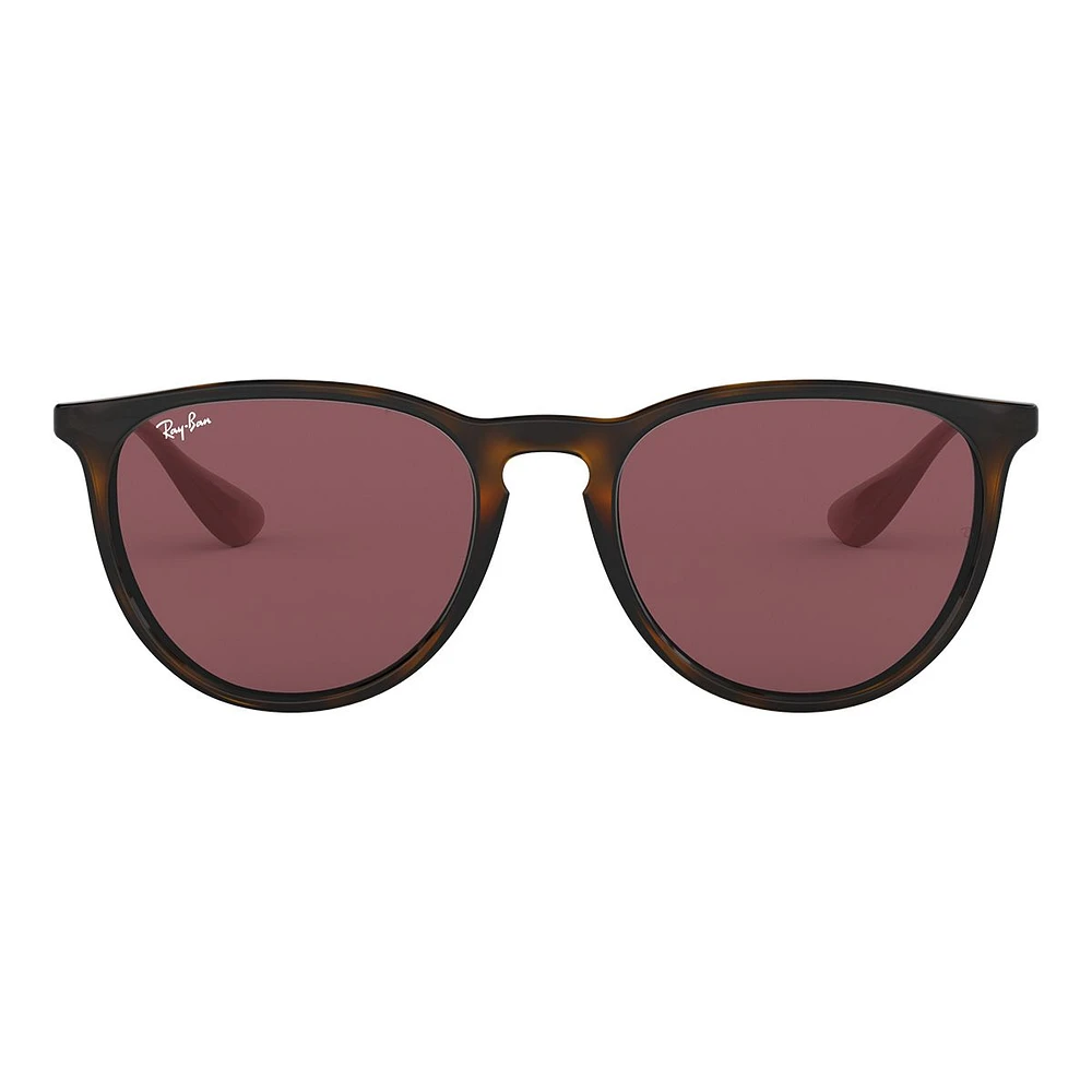 Ray Ban Erika Sunglasses