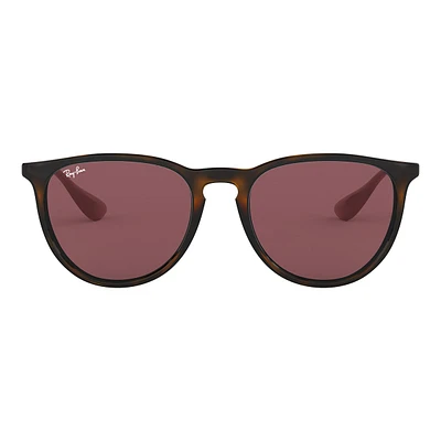 Ray Ban Erika Sunglasses