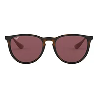 Ray Ban Erika Sunglasses