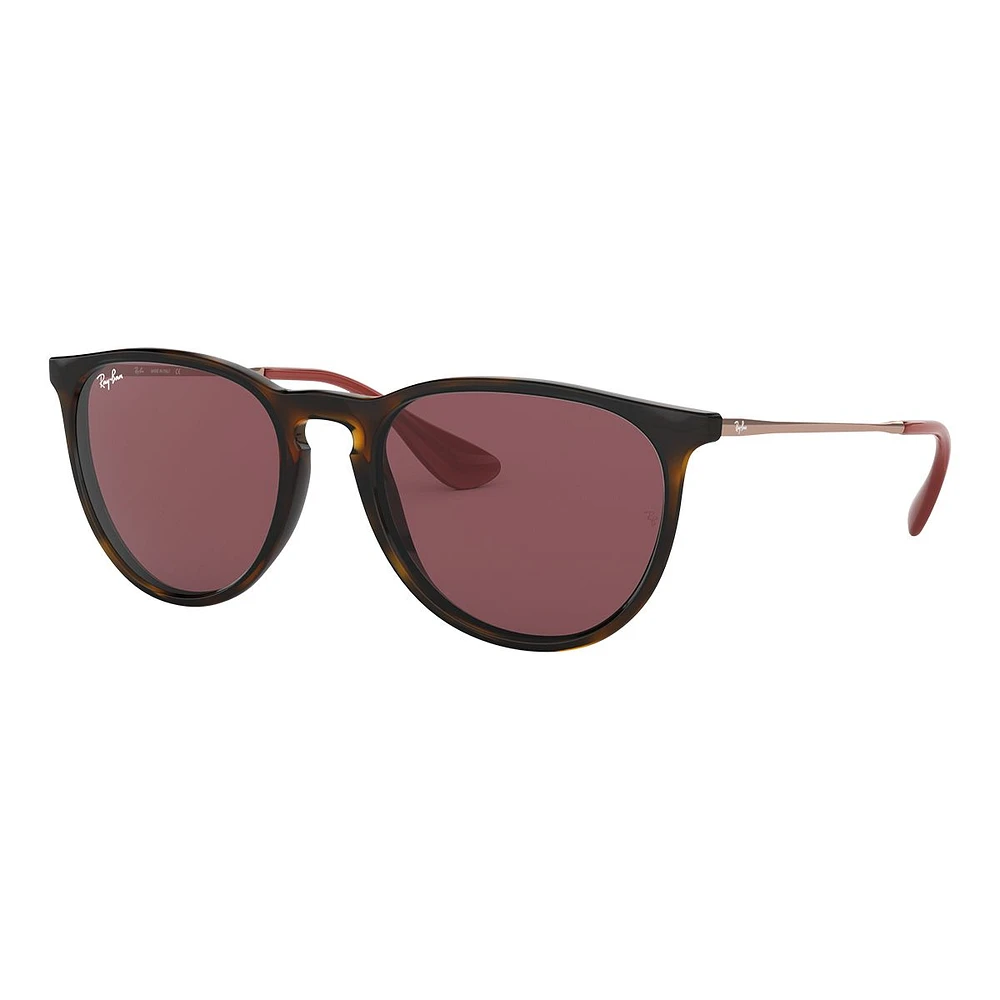 Ray Ban Erika Sunglasses