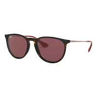 Ray Ban Erika Sunglasses