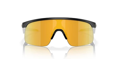 Oakley Resistor Sunglasses