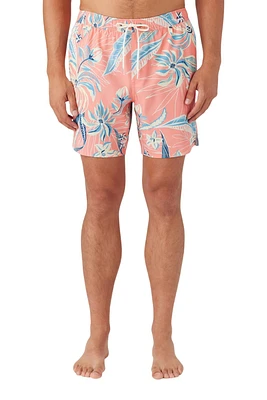 O'Neill Men's Hermosa E-Waist 17 Inch Boardshorts