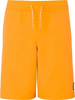 Ripzone Boys' Chesterman Jr Swim Trunks