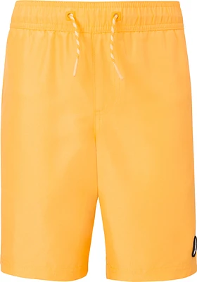 Ripzone Boys' Surge Shorts