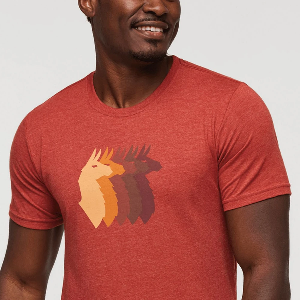 Cotopaxi Men's Llama Sequence Organic T Shirt