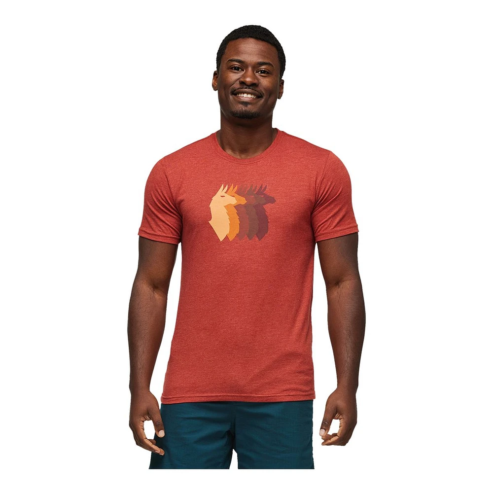 Cotopaxi Men's Llama Sequence Organic T Shirt