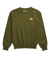 The North Face Men's Evolution Sweatshirt