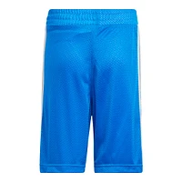 adidas Boys' Legend Basketball Shorts, Kids', Mesh, Elastic Waistband, Pockets