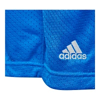 adidas Boys' Legend Basketball Shorts, Kids', Mesh, Elastic Waistband, Pockets