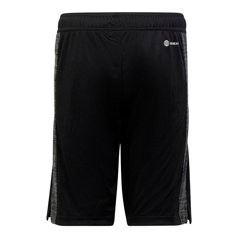 adidas Boys' Train Essentials Heather Shorts