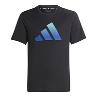 adidas Boys' Train Icons T Shirt