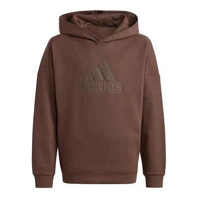 adidas Boys' FI Badge Of Sport Logo Pullover Hoodie