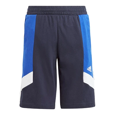 adidas Boys' 3-Sstripe Color Block Shorts