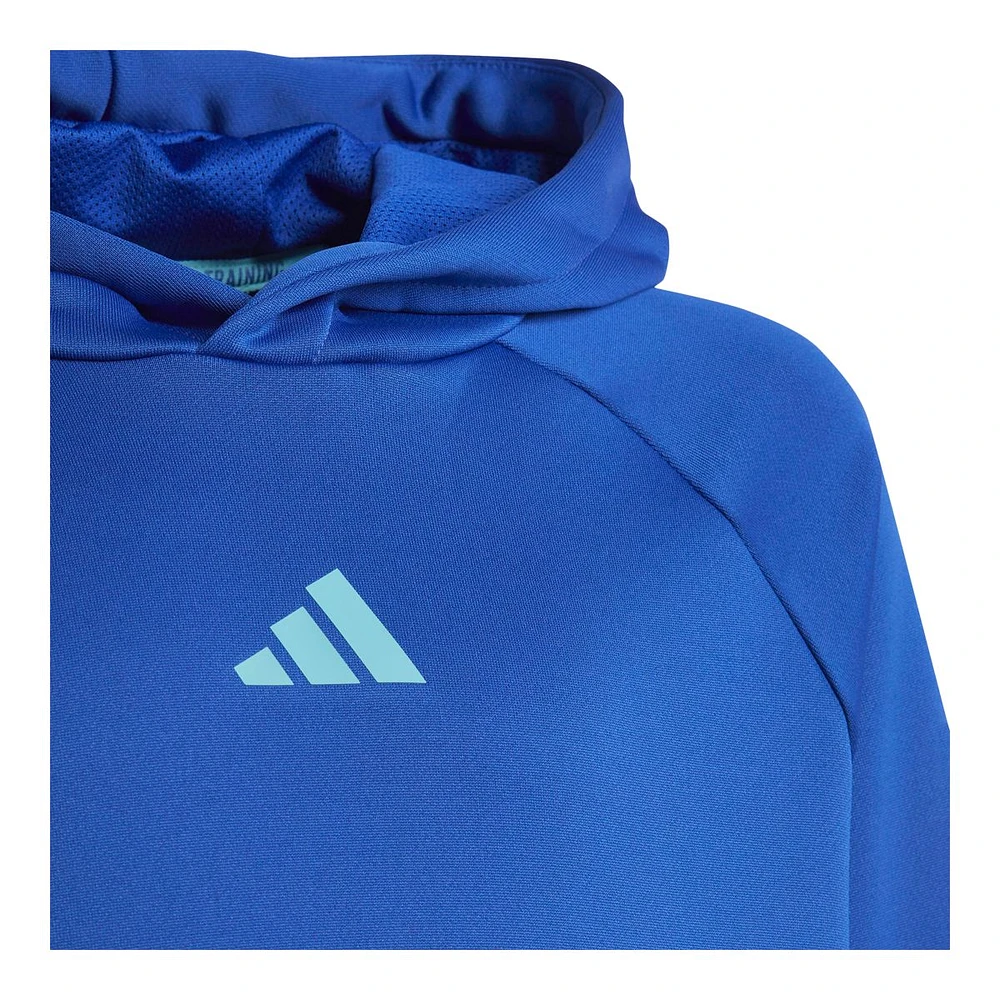 adidas Boys' Train Icons Pullover Hoodie