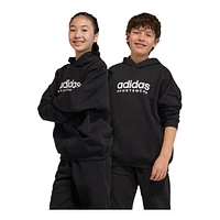 adidas Kids' All SZN Hoodie