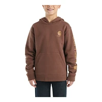 Carhartt Kids' Graphic Pullover Hoodie