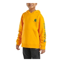 Carhartt Kids' Graphic Pullover Hoodie