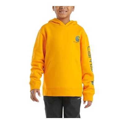 Carhartt Kids' Graphic Pullover Hoodie