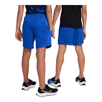 Nike Boys' Dri-FIT Trophy23 Shorts