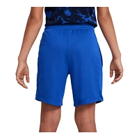 Nike Boys' Dri-FIT Trophy23 Shorts