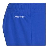 Nike Boys' 4-7 Dri-Fit Dropsets Shorts Set