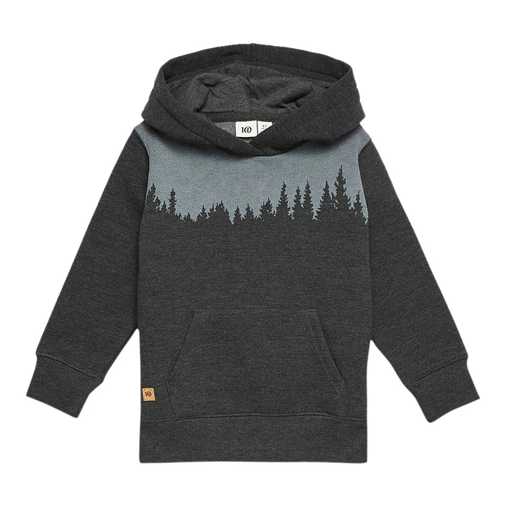 Tentree Toddler's Medium Stretch Knit Hoodie