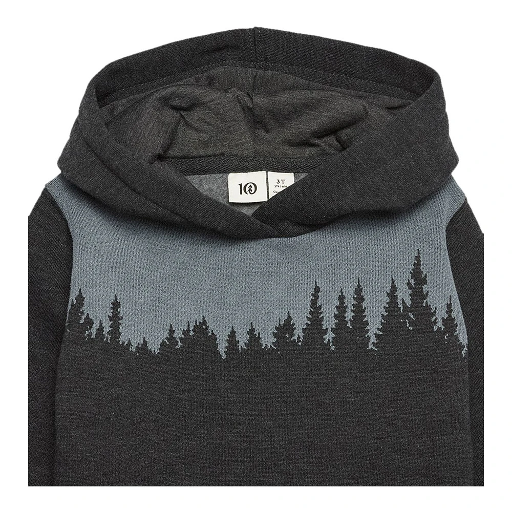 Tentree Toddler's Medium Stretch Knit Hoodie