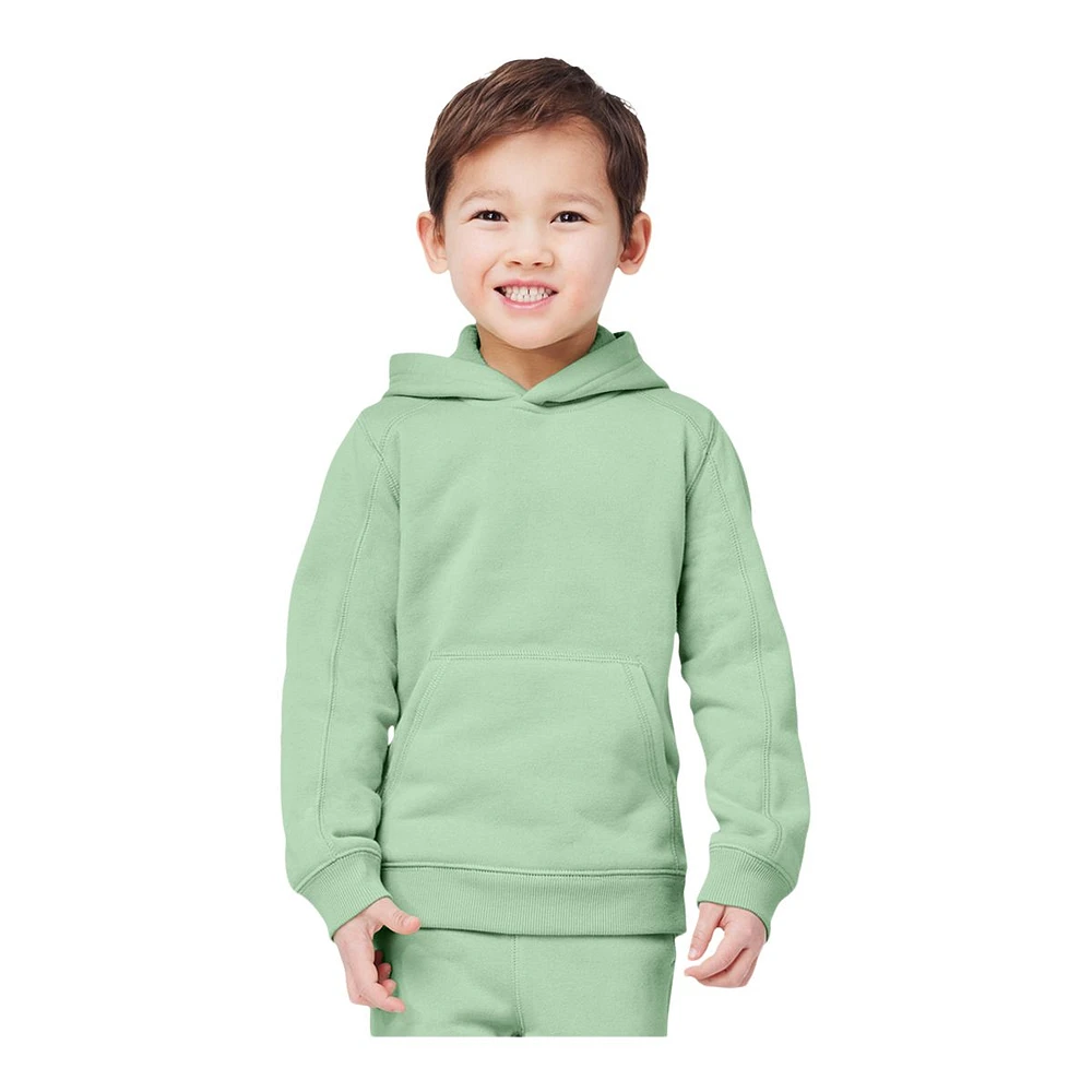 FWD Toddler Boys' 2-6 All Year Pullover Hoodie