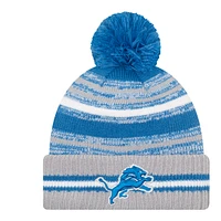 Detroit Lions New Era Sport Knit Hat, NFL, Football