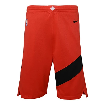 Toronto Raptors Nike Youth Icon Swingman Shorts