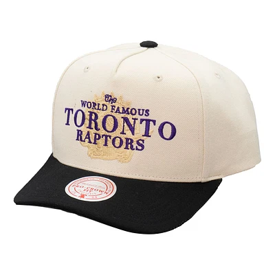 Toronto Raptors Mitchell & Ness World Famous Pro Snapback Cap