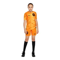 Netherlands Nike Youth Replica Soccer Jersey, Football, International